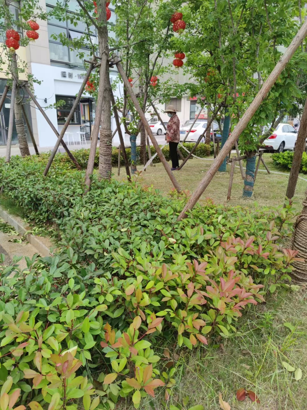 業(yè)務(wù)范圍